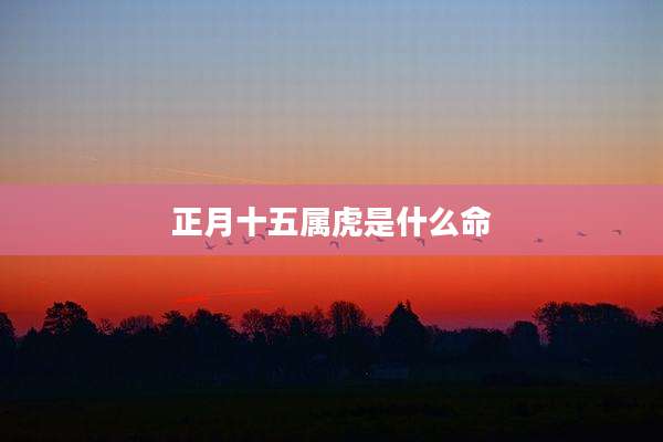 正月十五属虎是什么命
