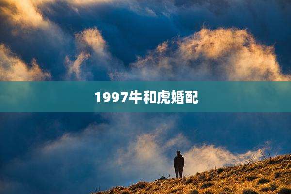 1997牛和虎婚配