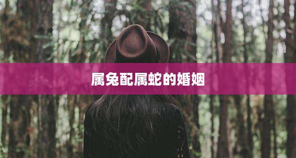 属兔配属蛇的婚姻