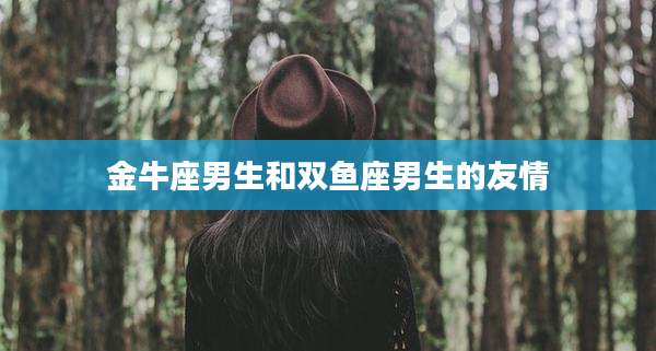 金牛座男生和双鱼座男生的友情