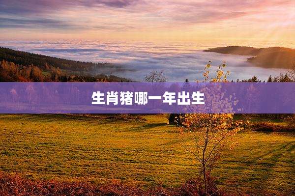 生肖猪哪一年出生
