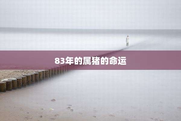 83年的属猪的命运