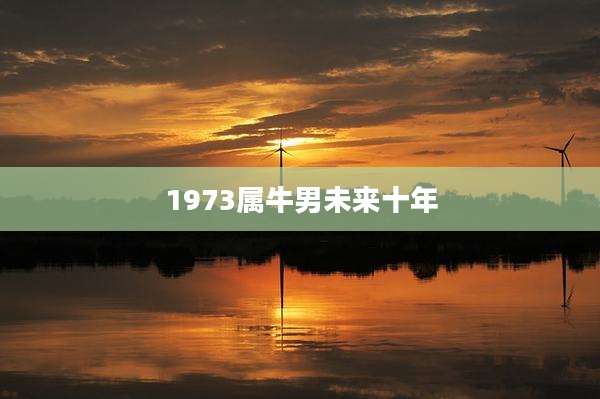 1973属牛男未来十年