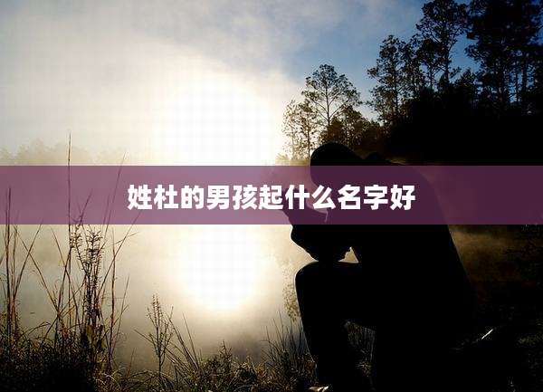 姓杜的男孩起什么名字好