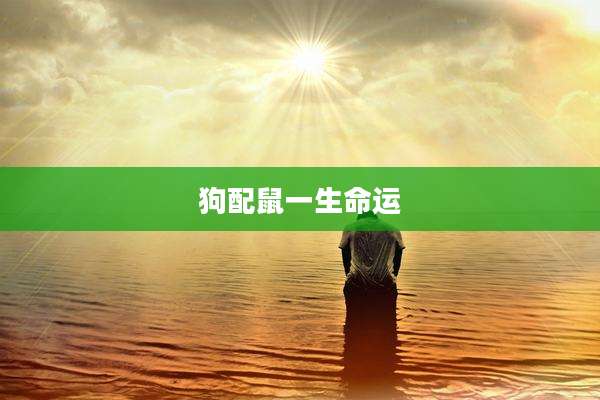 狗配鼠一生命运