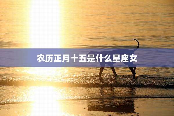 农历正月十五是什么星座女