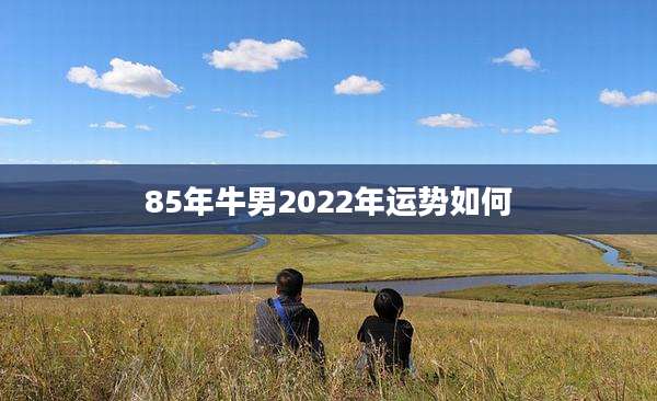 85年牛男2022年运势如何