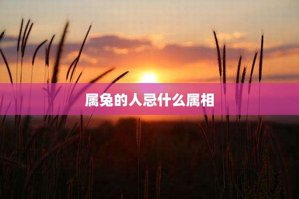 属兔的人忌什么属相