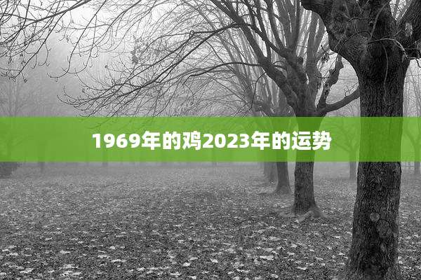 1969年的鸡2023年的运势