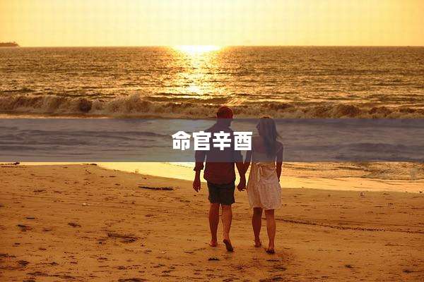 命官辛酉