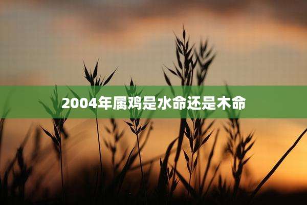 2004年属鸡是水命还是木命