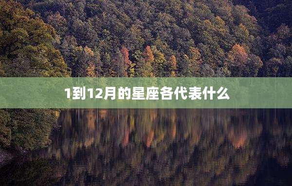 1到12月的星座各代表什么