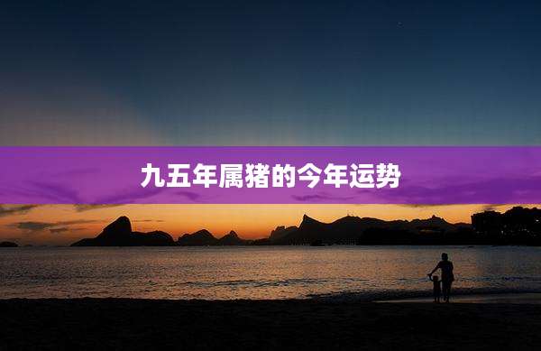 九五年属猪的今年运势