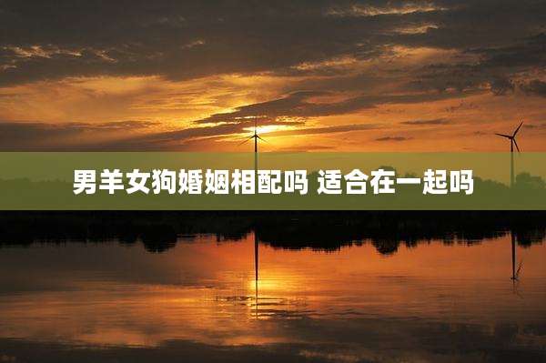 男羊女狗婚姻相配吗 适合在一起吗