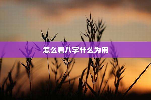 怎么看八字什么为用