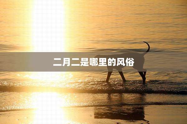 二月二是哪里的风俗