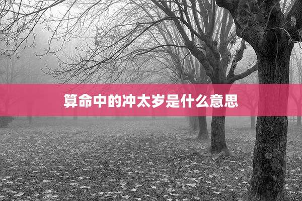 算命中的冲太岁是什么意思