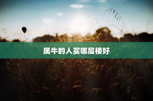 属牛的人买哪层楼好