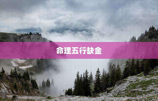 命理五行缺金
