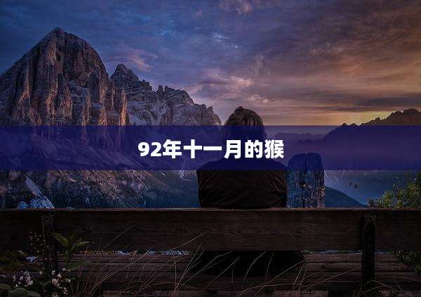 92年十一月的猴