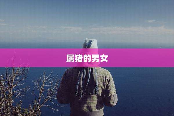 属猪的男女