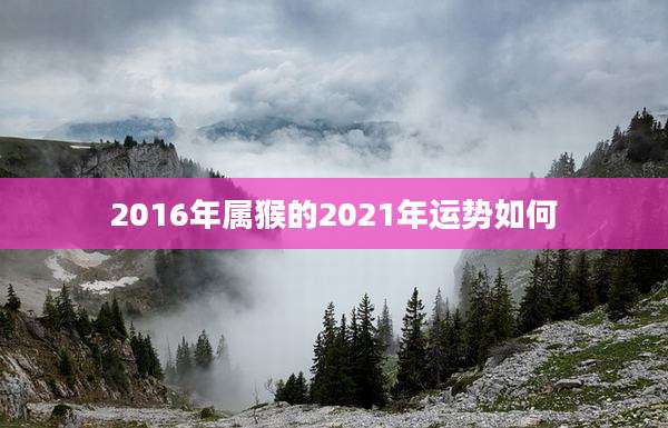 2016年属猴的2021年运势如何