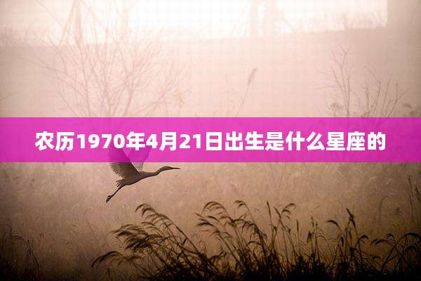 农历1970年4月21日出生是什么星座的