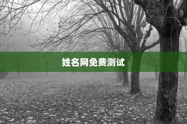 姓名网免费测试