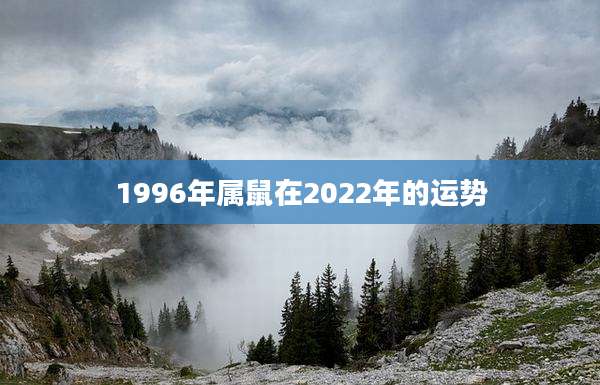 1996年属鼠在2022年的运势