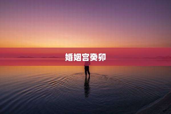 婚姻宫癸卯