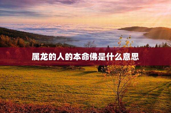 属龙的人的本命佛是什么意思