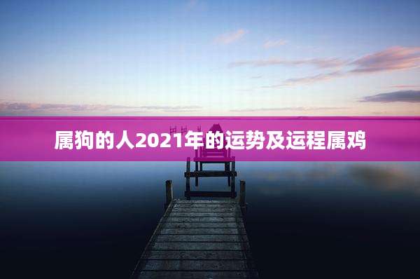 属狗的人2021年的运势及运程属鸡
