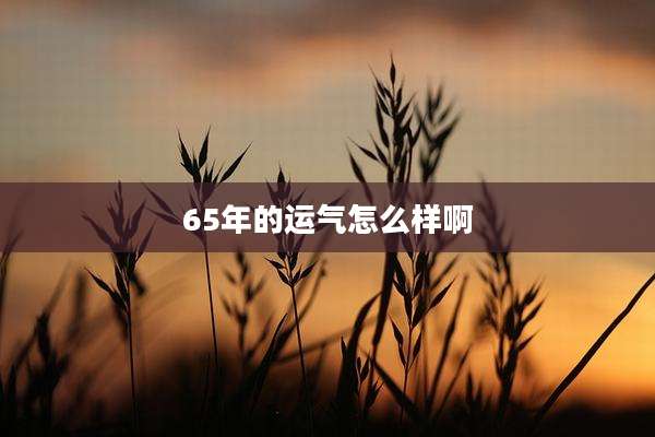65年的运气怎么样啊