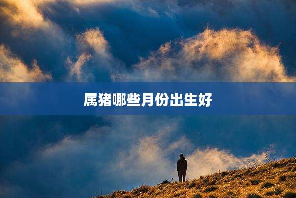属猪哪些月份出生好