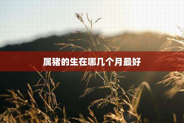 属猪的生在哪几个月最好