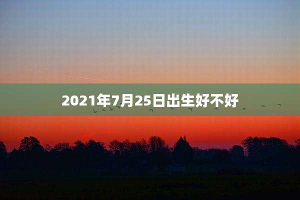 2021年7月25日出生好不好