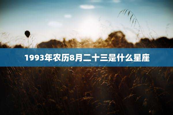 1993年农历8月二十三是什么星座