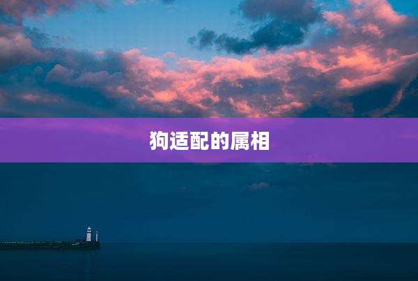 狗适配的属相