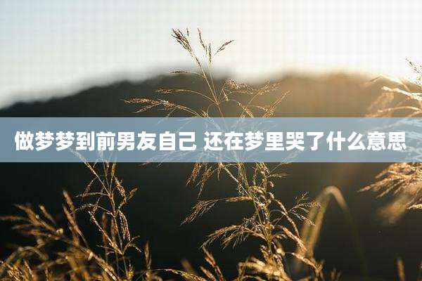 做梦梦到前男友自己 还在梦里哭了什么意思