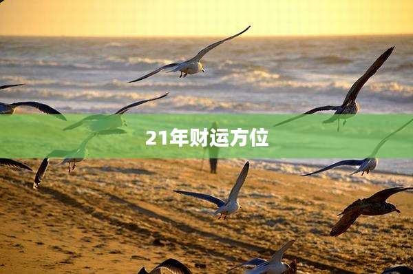 21年财运方位