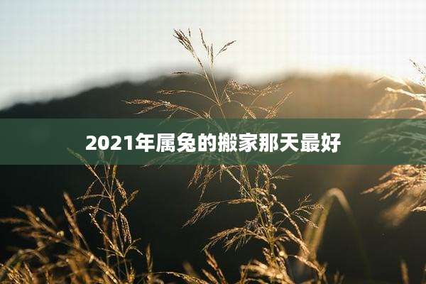 2021年属兔的搬家那天最好