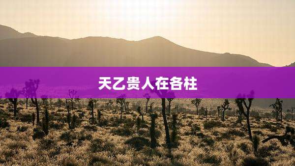 天乙贵人在各柱