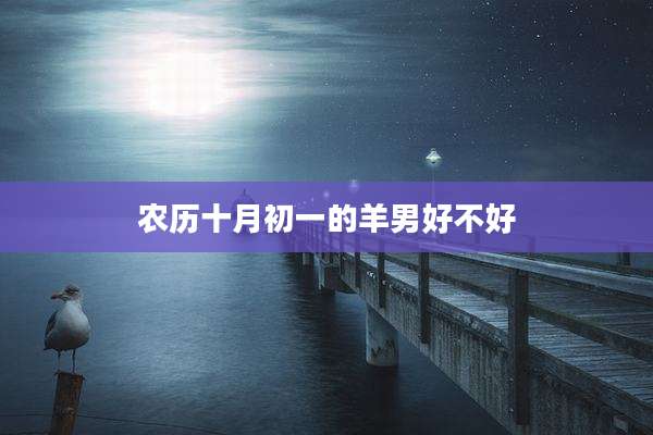 农历十月初一的羊男好不好