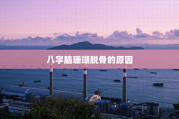 八字脑珊瑚脱骨的原因