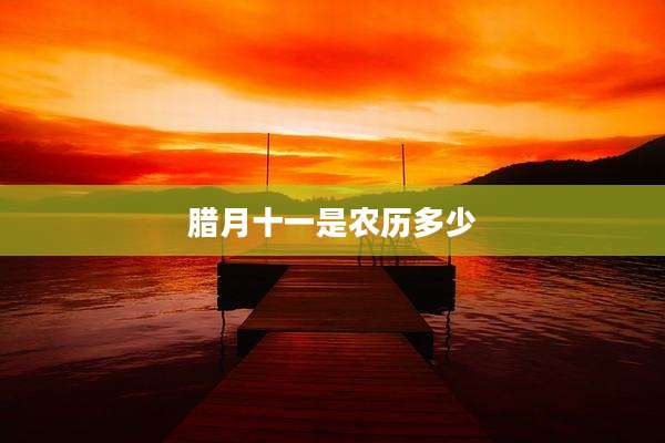 腊月十一是农历多少