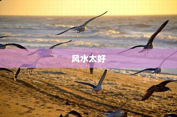 风水太好