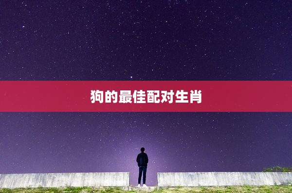 狗的最佳配对生肖