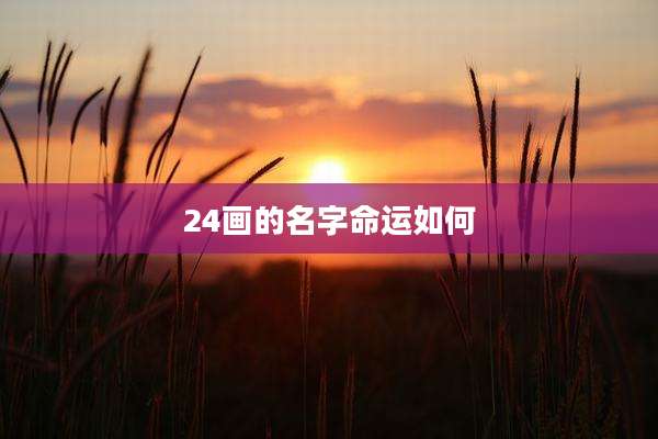 24画的名字命运如何
