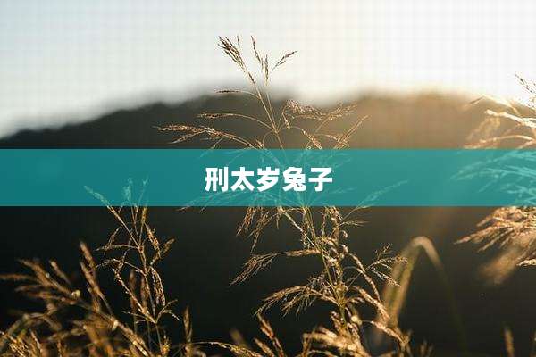 刑太岁兔子