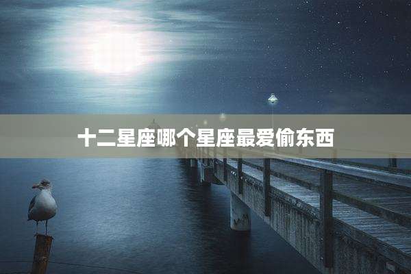 十二星座哪个星座最爱偷东西